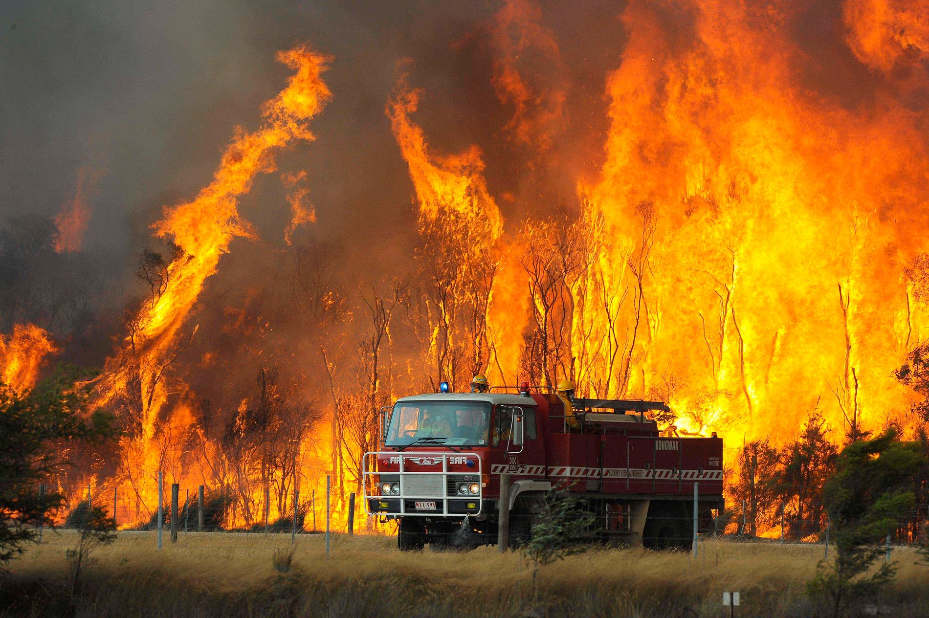 Samtidigt som Australien drabbas av historiskt omfattande skogsbränder röstar befolkningen på en klimatförnekare. Räcker inte demokratin till för att rädda klimatet? Kajsa Ekis Ekman är inte nöjd med svaret hon får i boken ”Upphettning”.