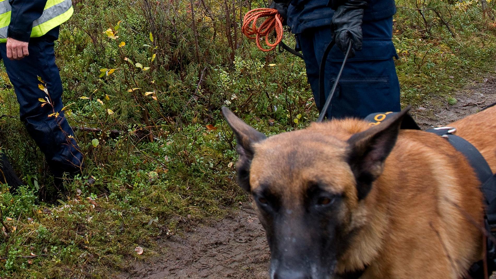 En stor sökinsats med bland annat hundpatruller sattes in för att leta efter den försvunne jägaren. Arkivbild.