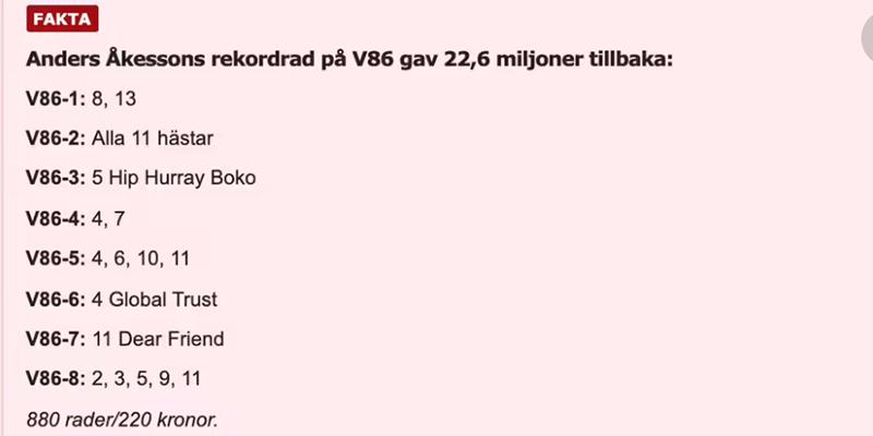 Rekordvinnaren Anders Åkessons system kostade bara 220 kronor. 