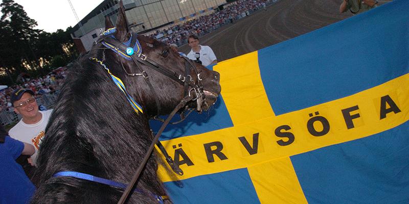 Järvsöfaks slog världsrekordet på Gävle 2005 – ett rekord som står sig än i dag