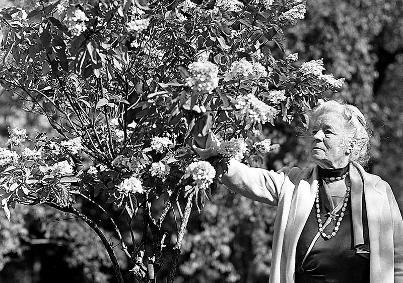 Selma Lagerlöf på Mårbacka 1933.