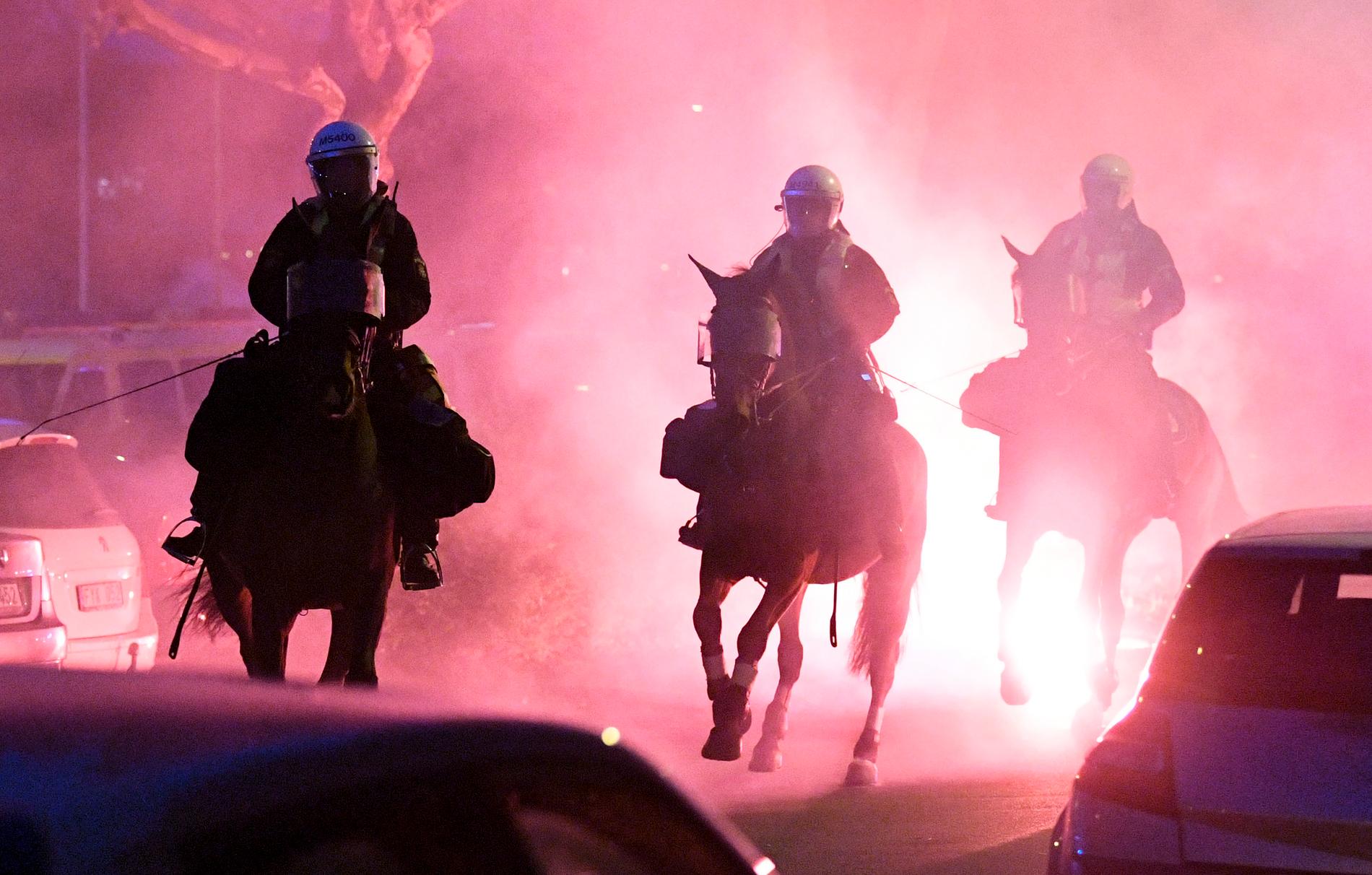 Polisens hästar behöver vara lugna och stabila i svåra situationer. Arkivbild.