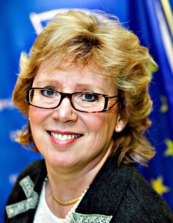 Miljöminister Lena Ek, 56
Ministerfallskärm: 1,5 miljoner
Riksdagsfallskärm: 3,2 miljoner