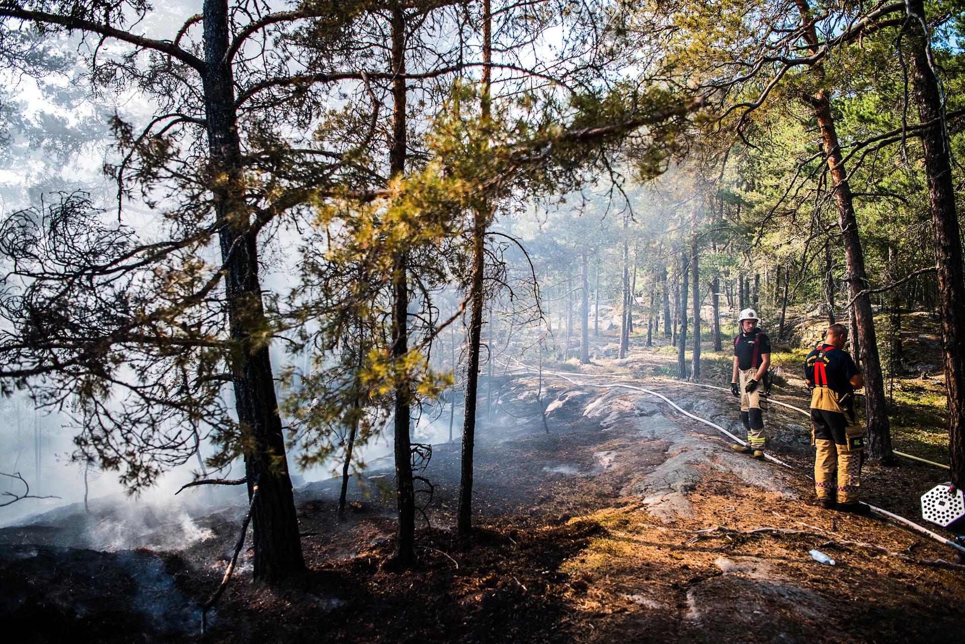 Brandrisk råder över hela landet, varnar SMHI. Bilden från släckning av en brand utanför Hästveda tidigare i år. Arkivbild.