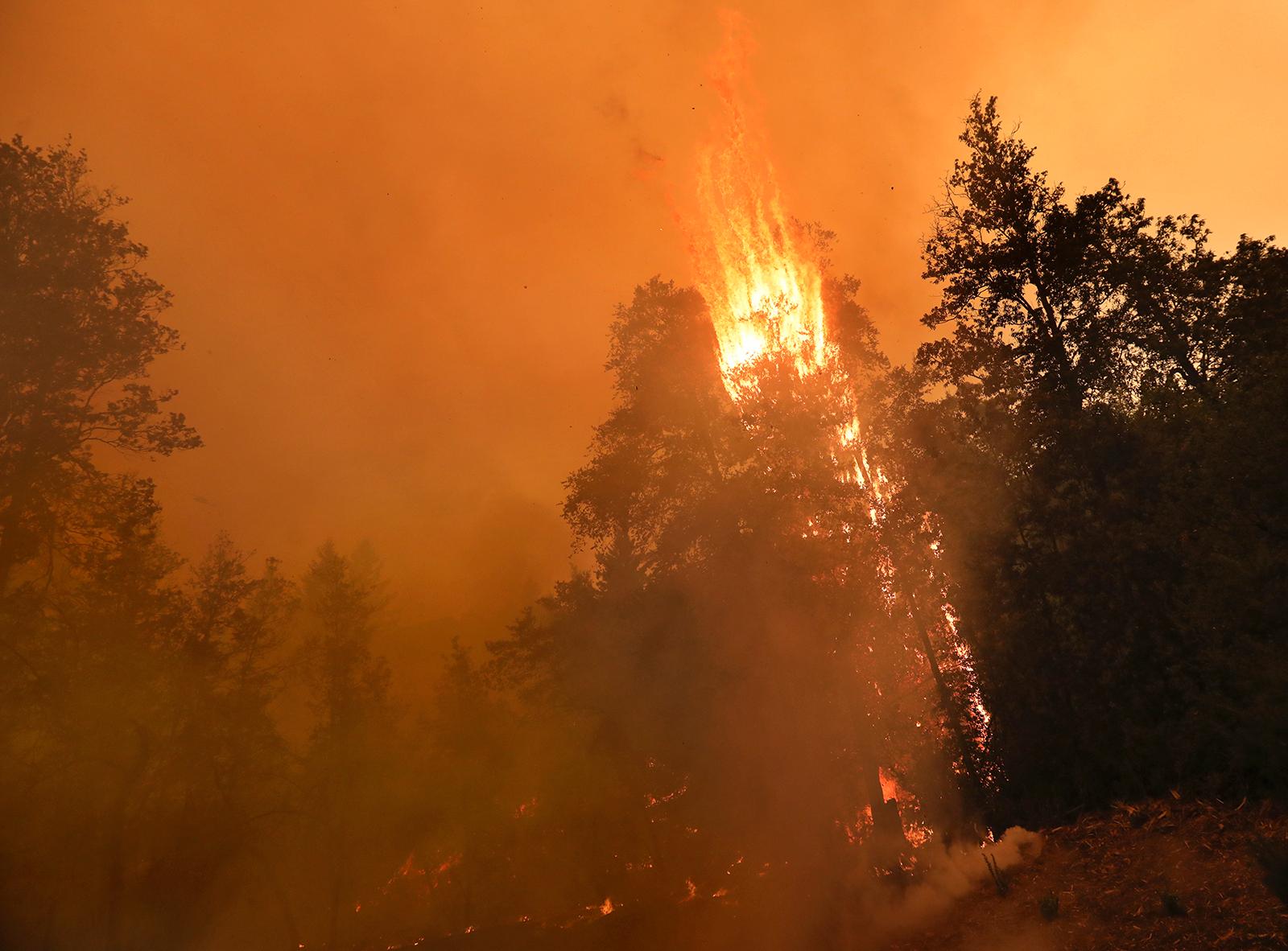 Antalet bränder spås bli fler i år jämfört med rekordåret 2019. Arkivbild.