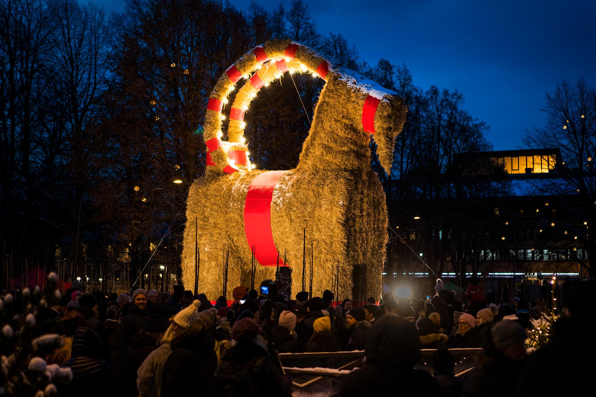 Den stora julbocken i Gävle invigdes på söndagen.