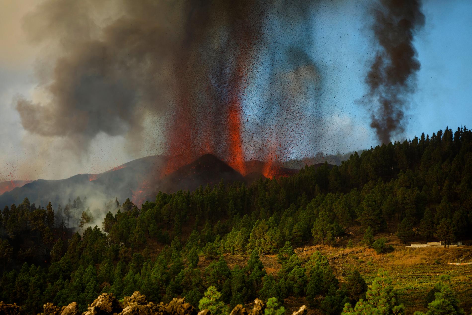 Lava skjuter upp från vulkanen Cumbre Vieja på kanarieön La Palma. Utbrottet startade på söndagseftermiddagen.