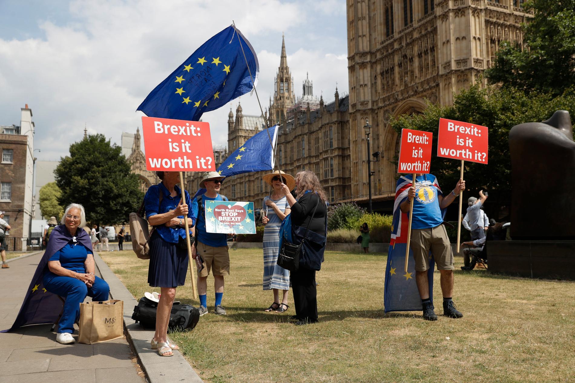 Brexitförkämpar demonstrerar utanför det brittiska parlamentet i London, där måndagens debatt om Storbritanniens tullarrangemang efter EU hålls på måndagen. Debatten och dess efterföljande omröstning riskerar att bli en skräckupplevelse för Mays och hennes anhängare. Bilden är från 9 juli.
