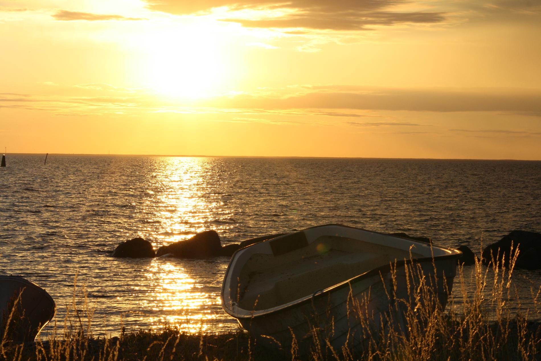 Lite härliga sommarbilder från södra Öland