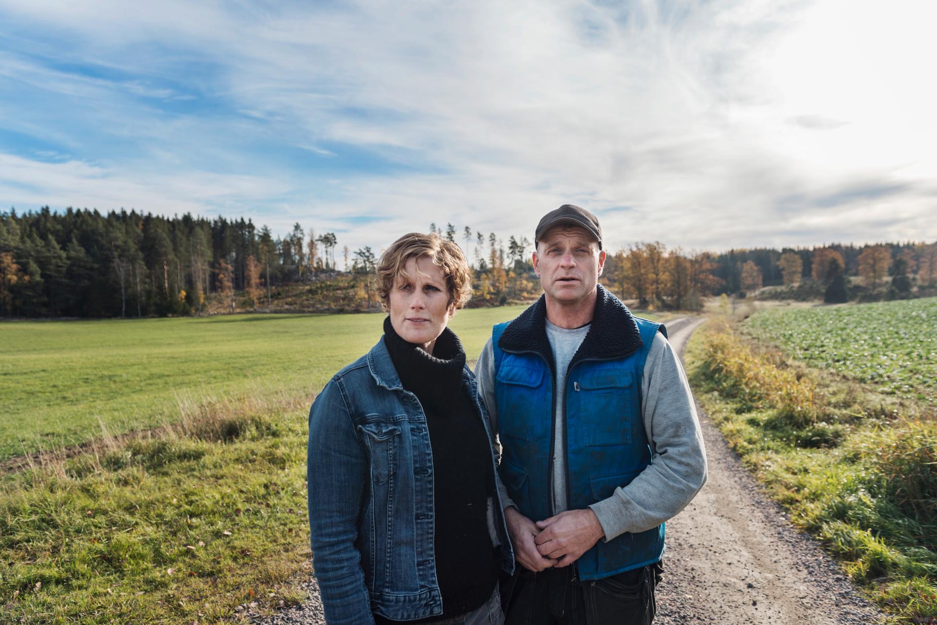 Jordbrukarna Elin Beckman och Ulf Thunell berättar om hur dovhjortar förstör deras grödor. Markerna på Berga gård i Södermanland har tidigare burit 60 kor med kalvar. Nu räcker betet till knappt 40 djur.