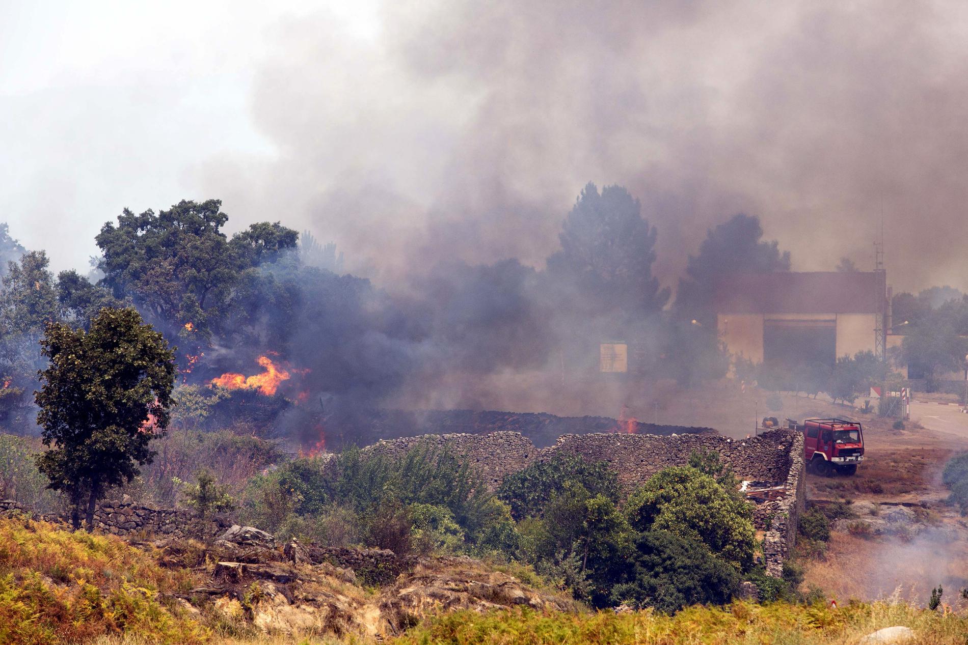 Branden, som utbröt vid spanska Hoyos, har gjort att 2 500 personer evakuerats.