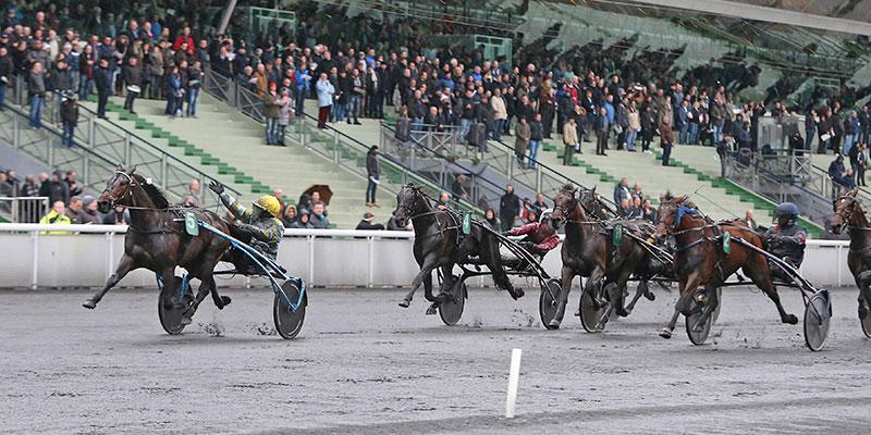 Spanske hästen Trebol har nu världsrekordet i antal raka segrar: 43 stycken. Tidigare hade den svenske sagohästen Järvsöfaks rekordet.