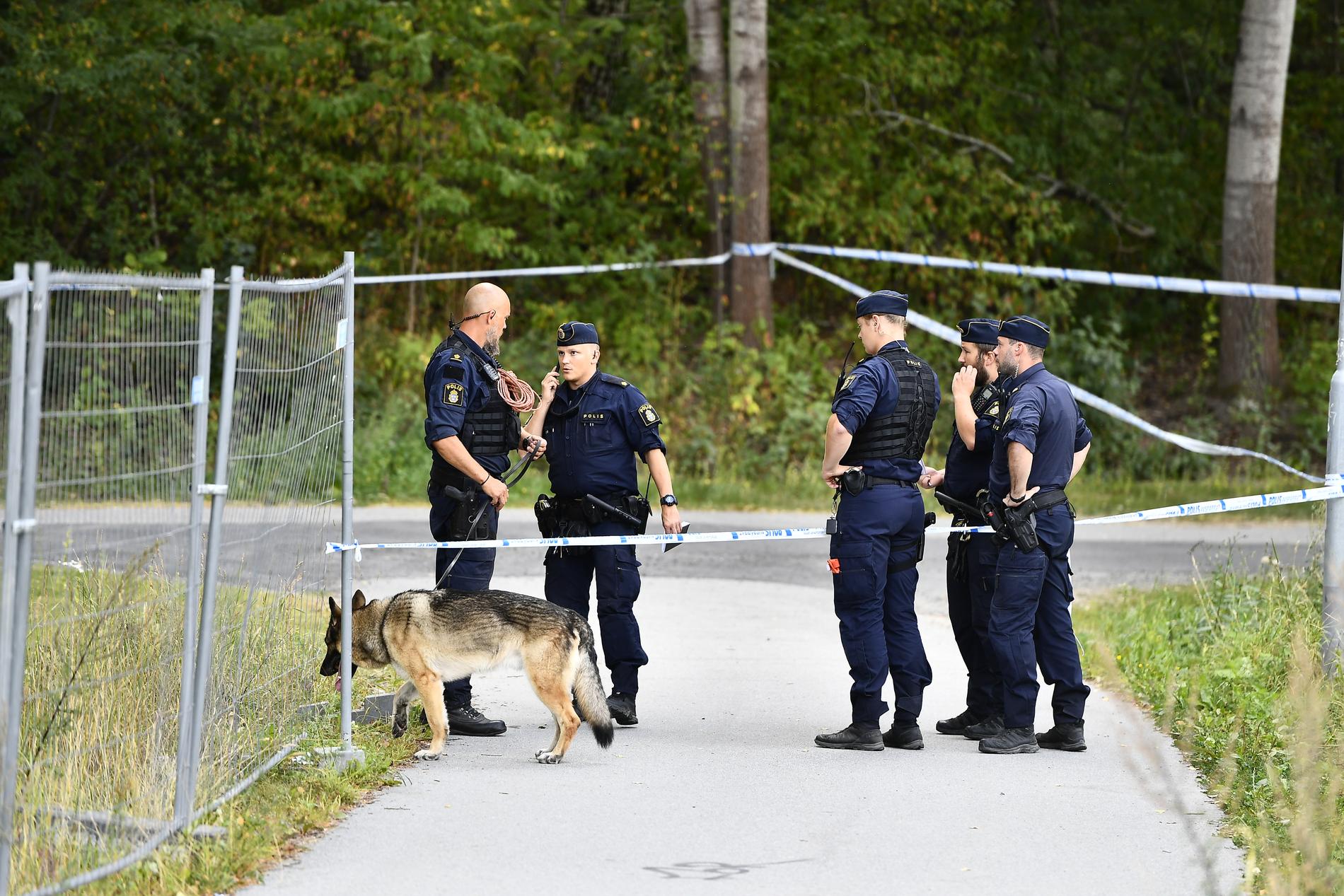 En tonåring har blivit knivhuggen vid en skola i Solna kommun.