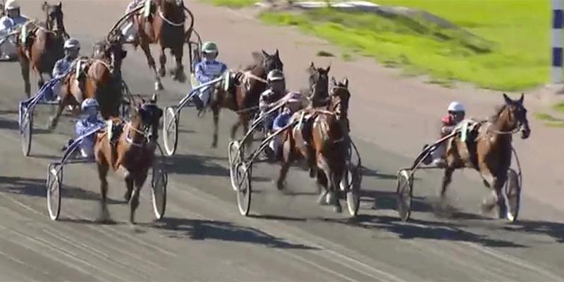 In Love Boko är ett av kvällens bästa speldrag, enligt Sportbladet-experten Nils Larsson som går igenom omgången på Rättvikstravet med jackpott.