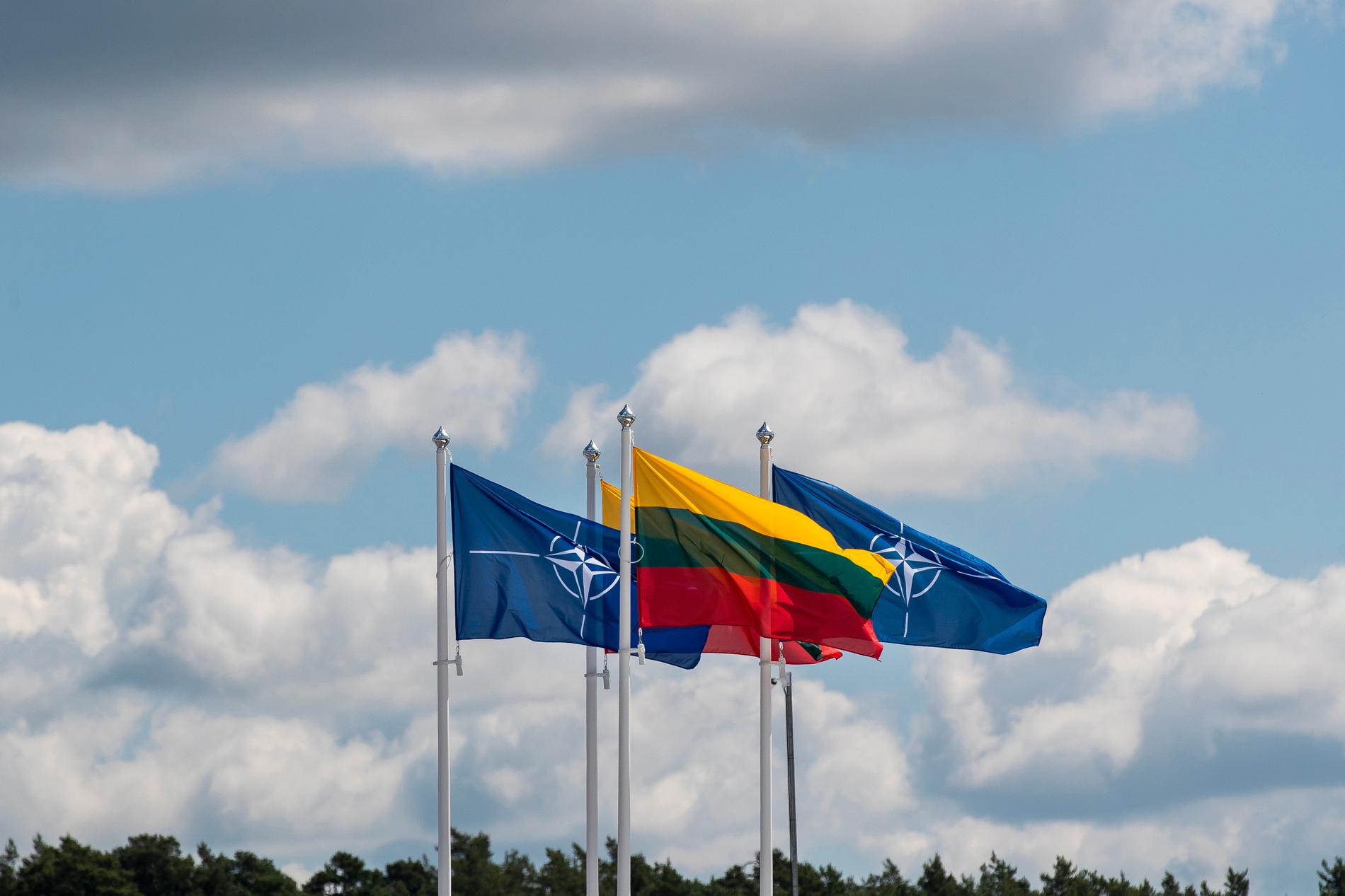 Flaggor inför Natomötet i Vilnius. 