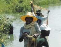 Risfälten invid stora landsvägen går också bra att fiska och bada i.