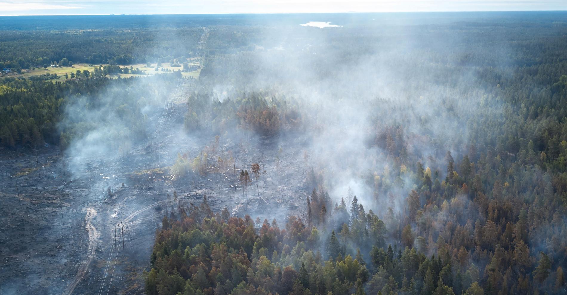 Skogsbranden i trakterna kring Mo, Helgum, i Sollefteå kommun, var tillfälligt under kontroll på söndagskvällen. Bilden är tagen vid en annan skogsbrand.