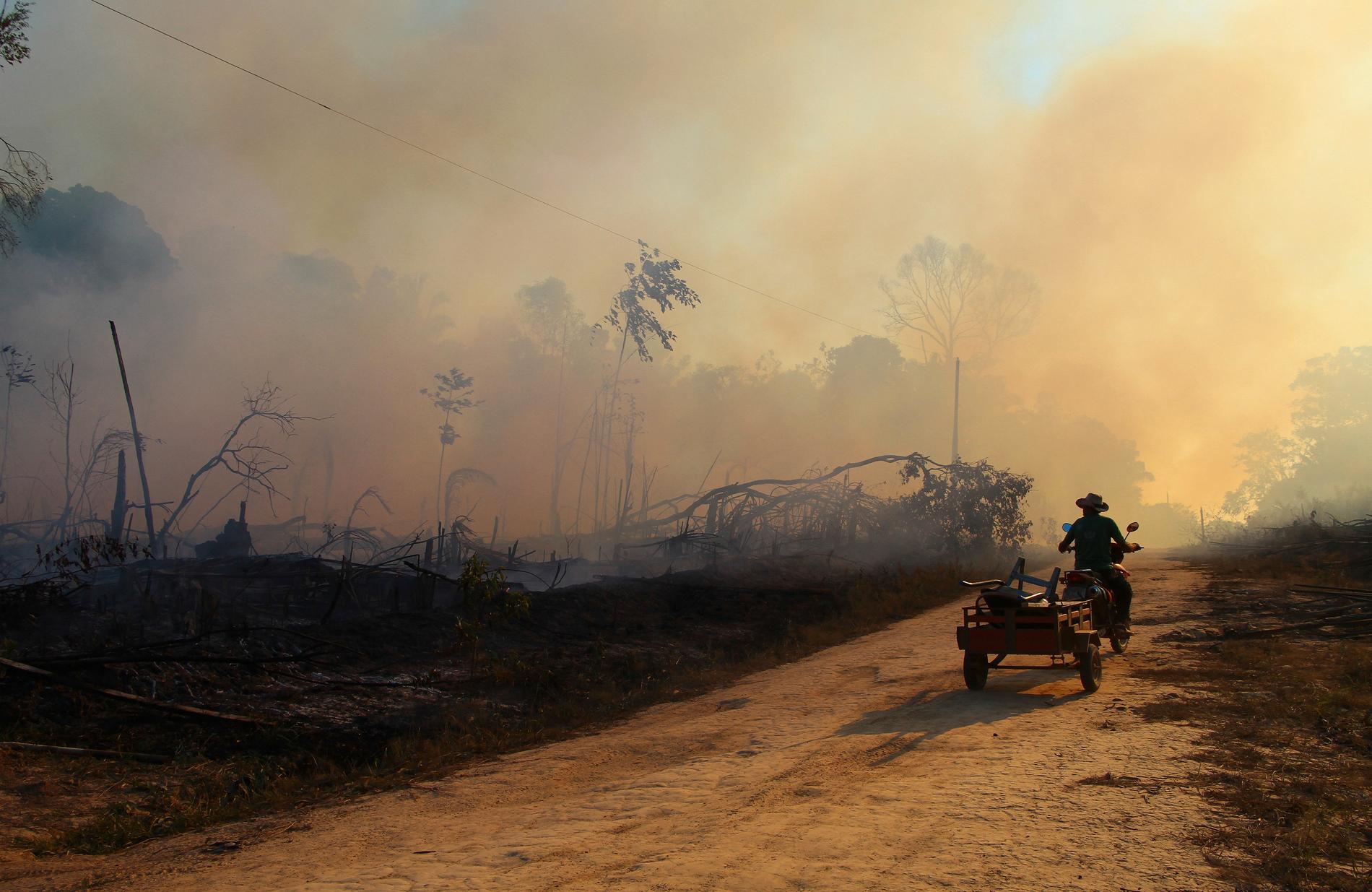 Amazonas skyddade tidigare mot klimatkrisen. Nu bidrar den till att den förvärras. 