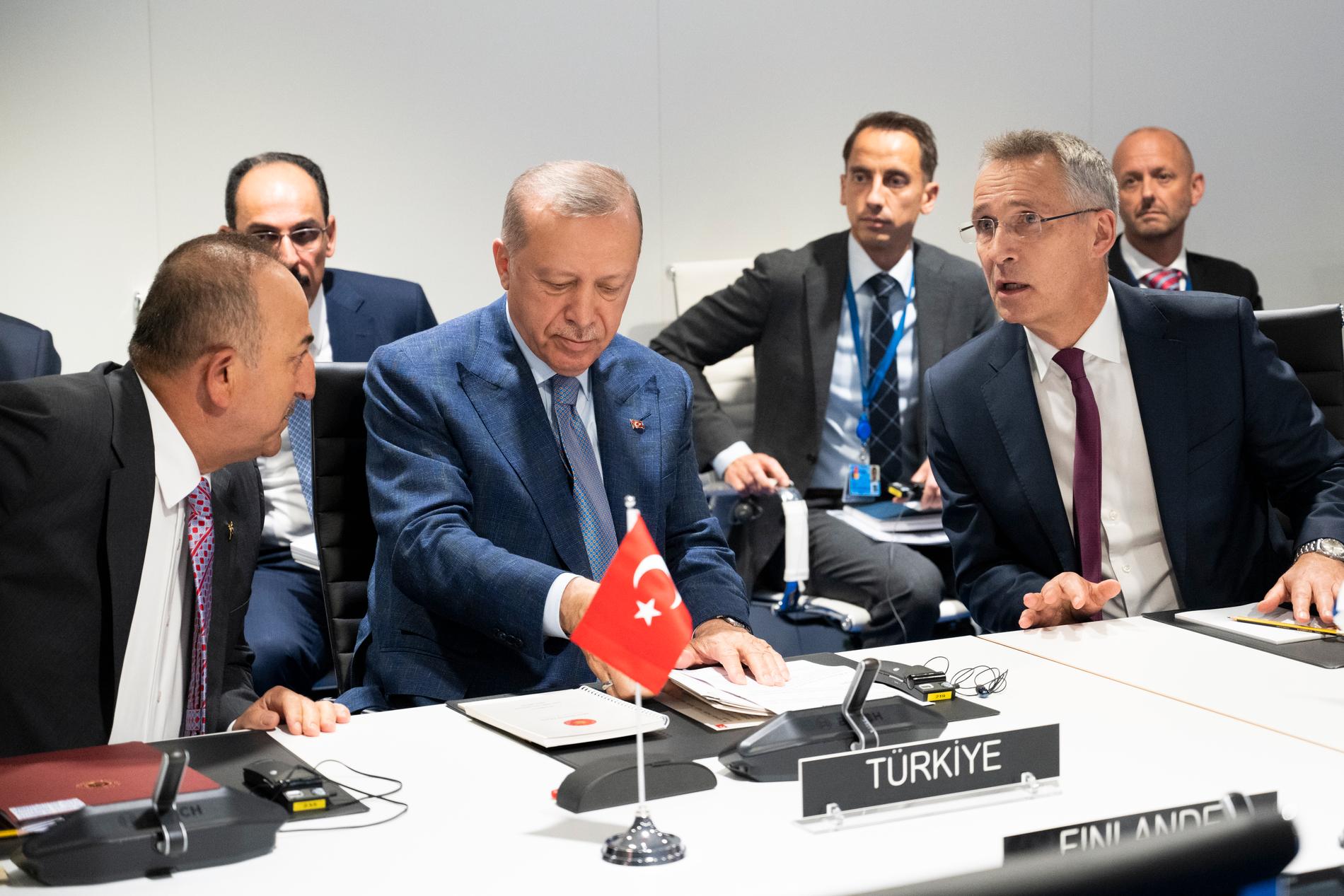 Turkiets utrikesminister Mevlüt Çavusoglu,  president Erdogan och Natochefen Jens Stoltenberg.