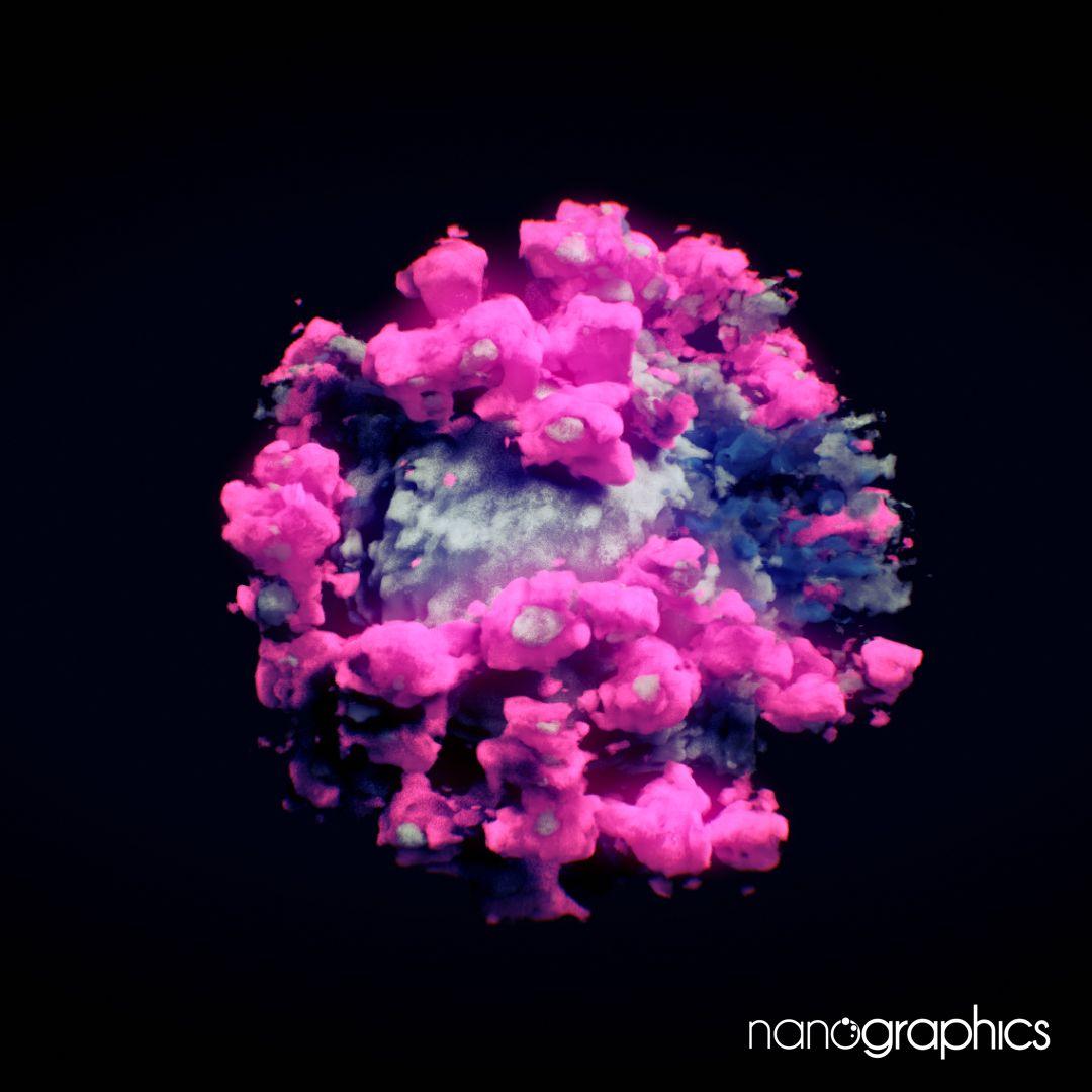 3D-bild av coronaviruset skapad av Nanographics.