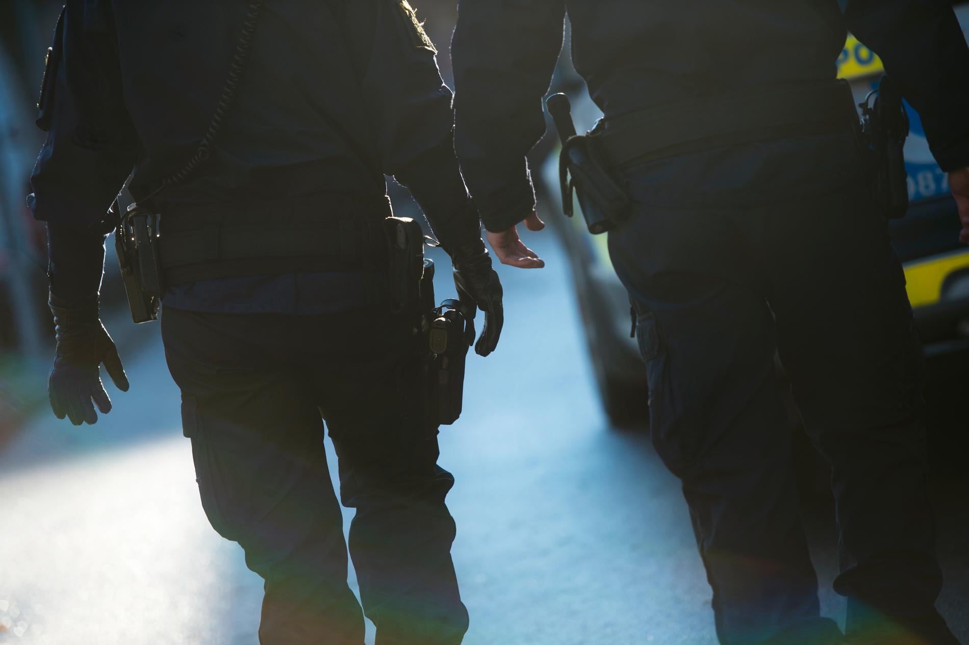 En polispatrull fick ta hand om en förrymd pytonorm i Malmö.