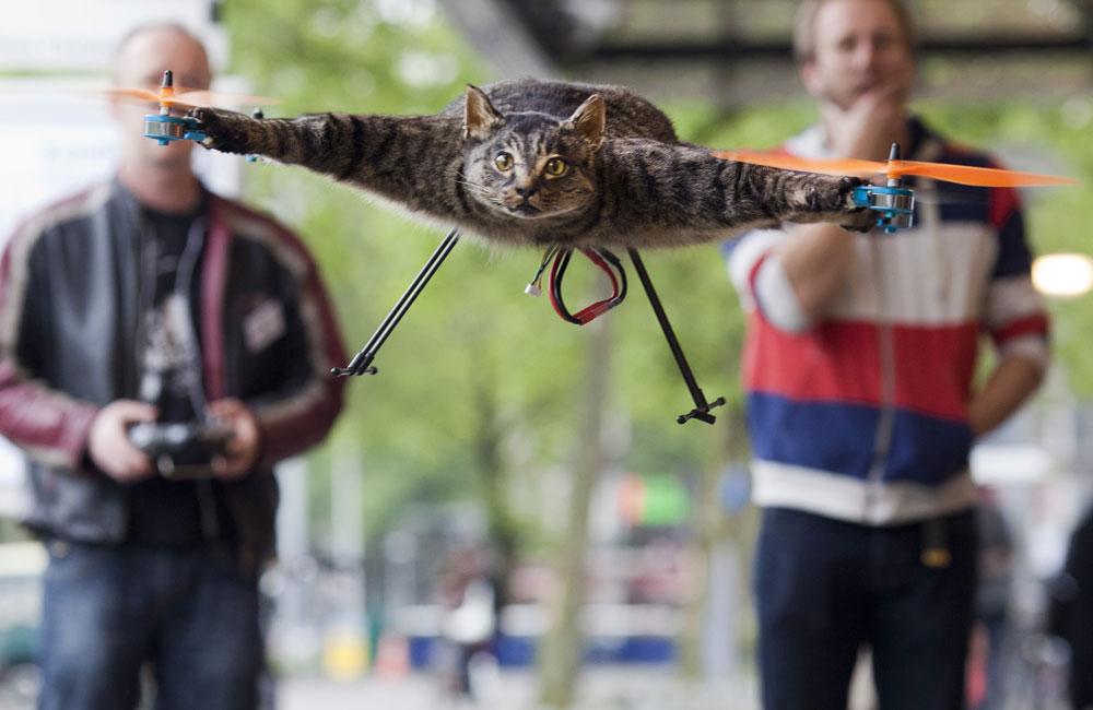 Cat Orville förvandlades till en helikopter av sin ägare, konstnären Bart Jansen, till höger, efter att han blev överkörd av en bil