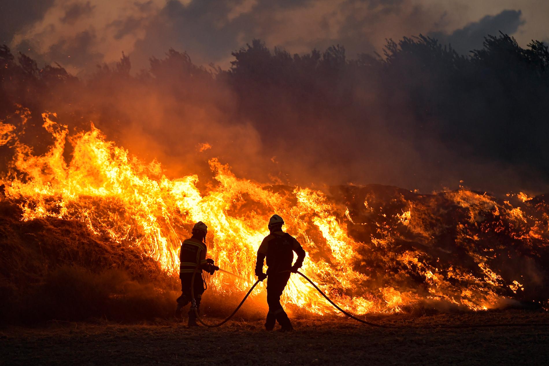 Brandmän bekämpar en av augusti månads bränder, norr om Pamplona i Spanien.
