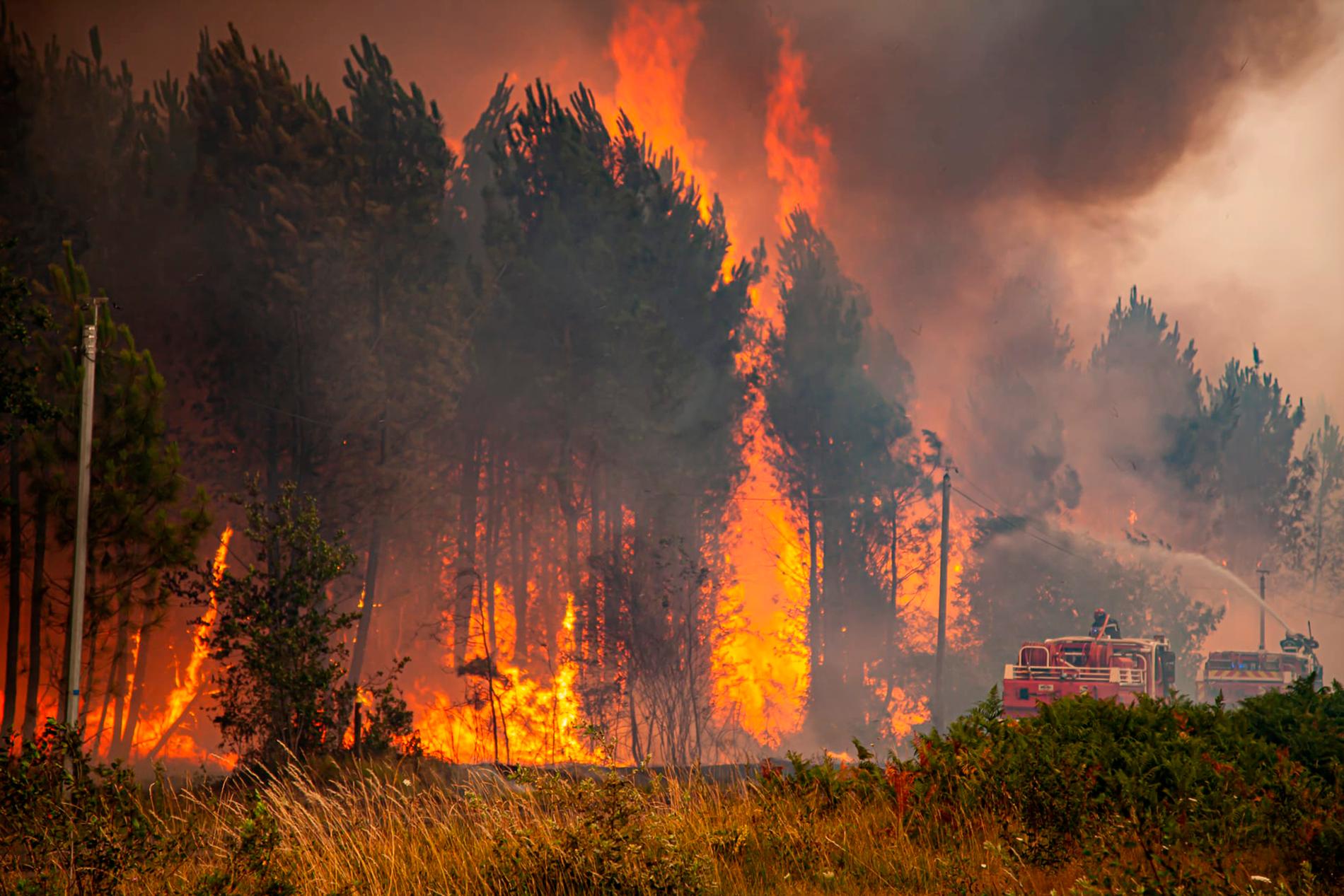 Skogsbrand i Landiras i södra Frankrike.