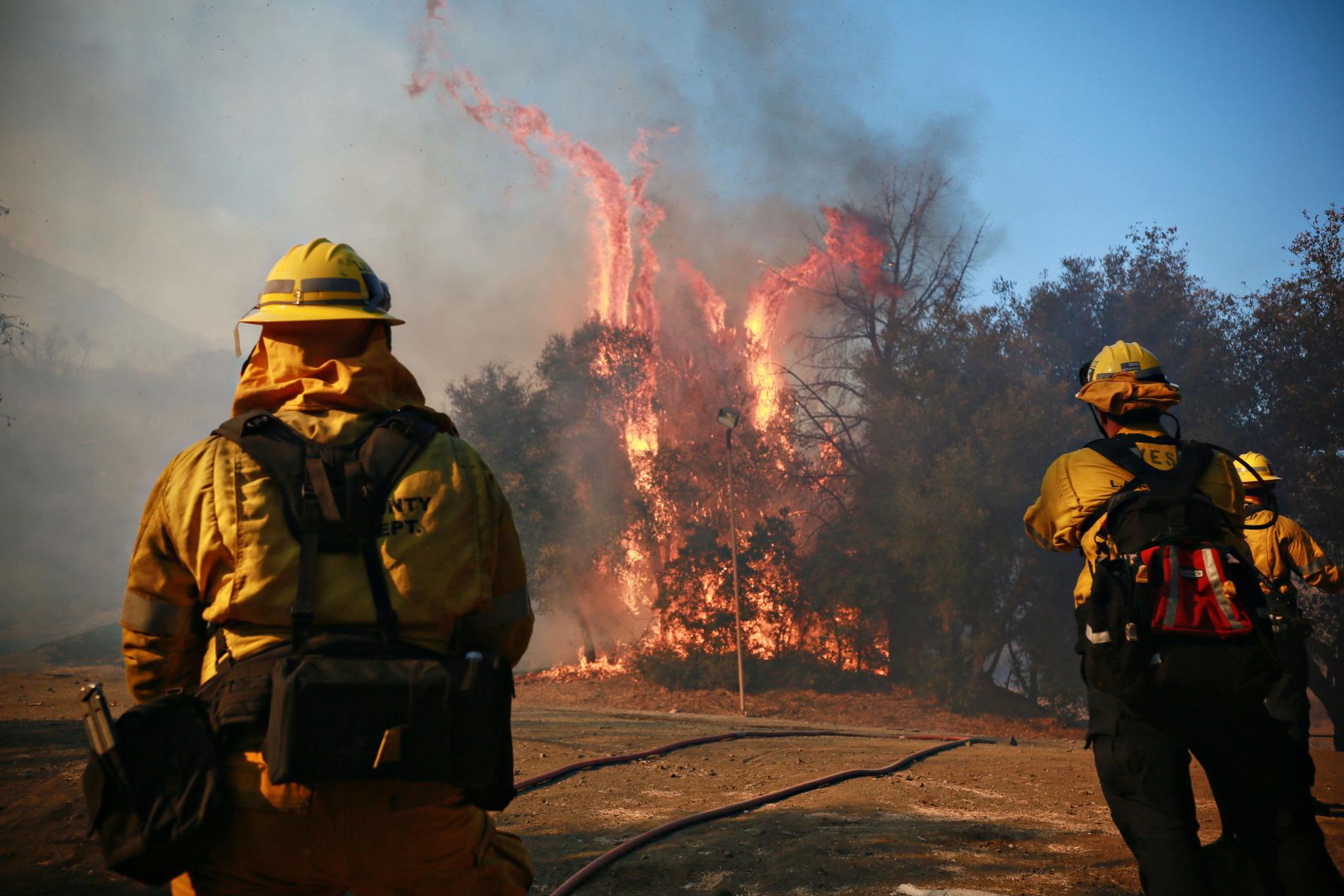Dödssiffran stiger efter skogsbränderna i Kalifornien. 
