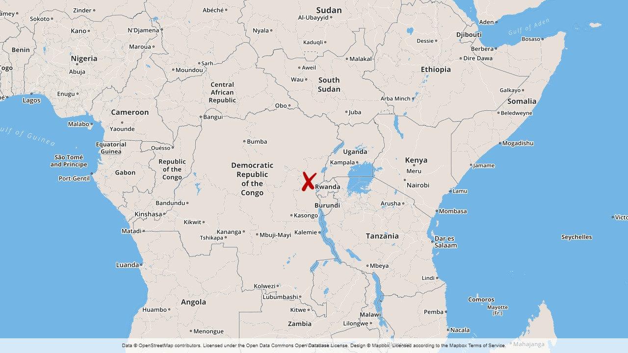 Den rwandiske rebelledaren Sylvestre Mudacumura har dödats i östra Kongo-Kinshasa.