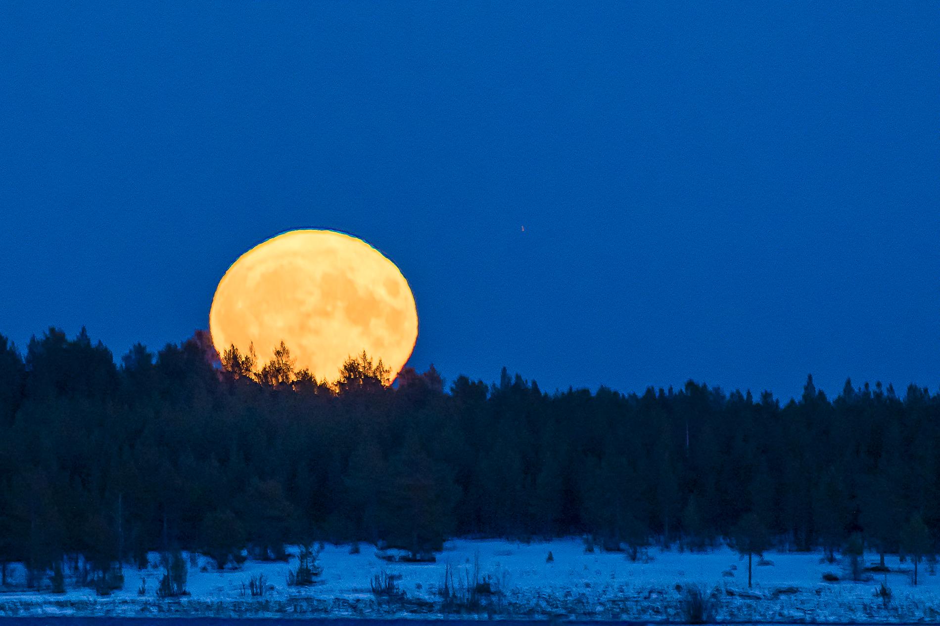 Här är en bild på supermånen från Långnäsudden utanför Skellefteå.