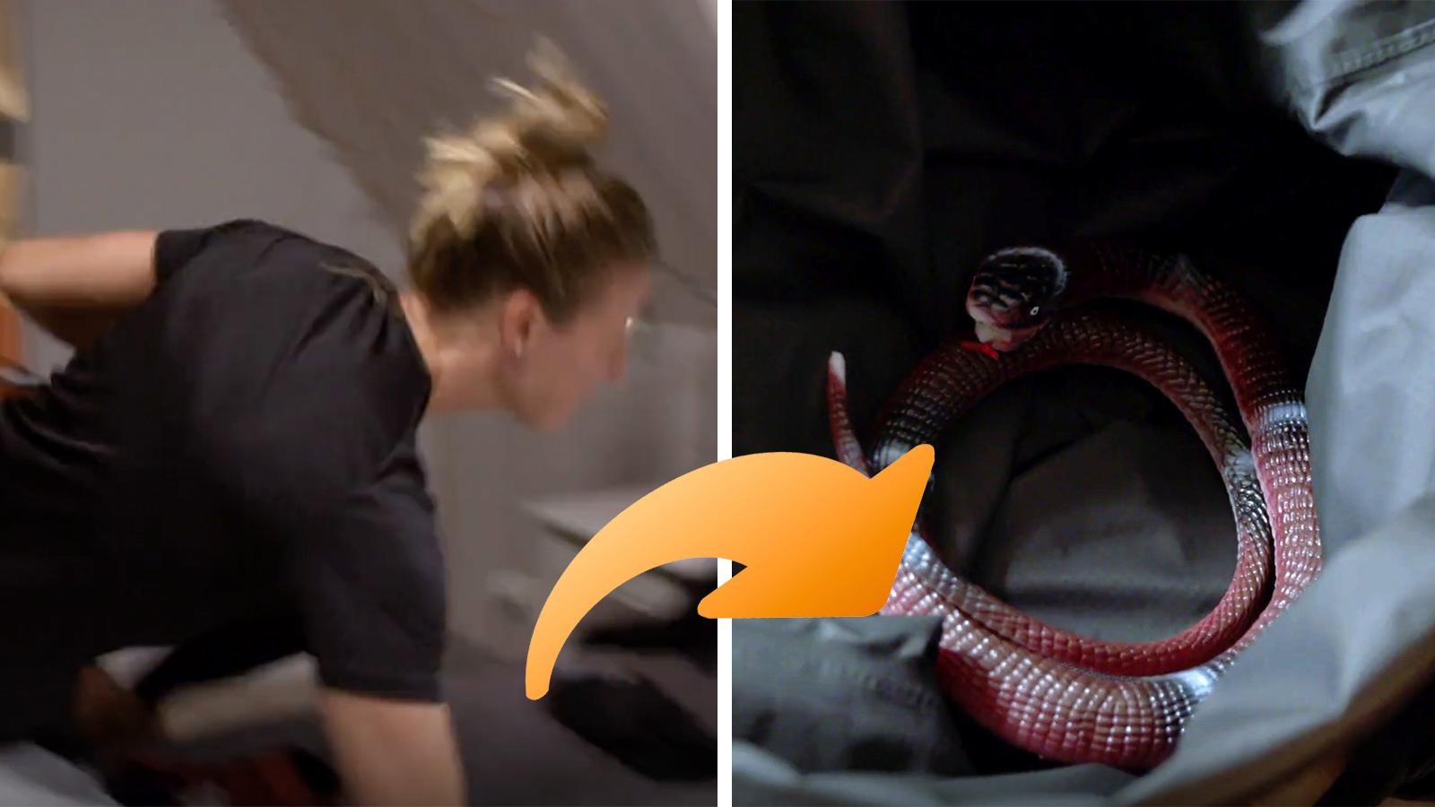 Linnea Torstenson hoppar till när hon upptäcker ”ormen” i sin väska på rummet.