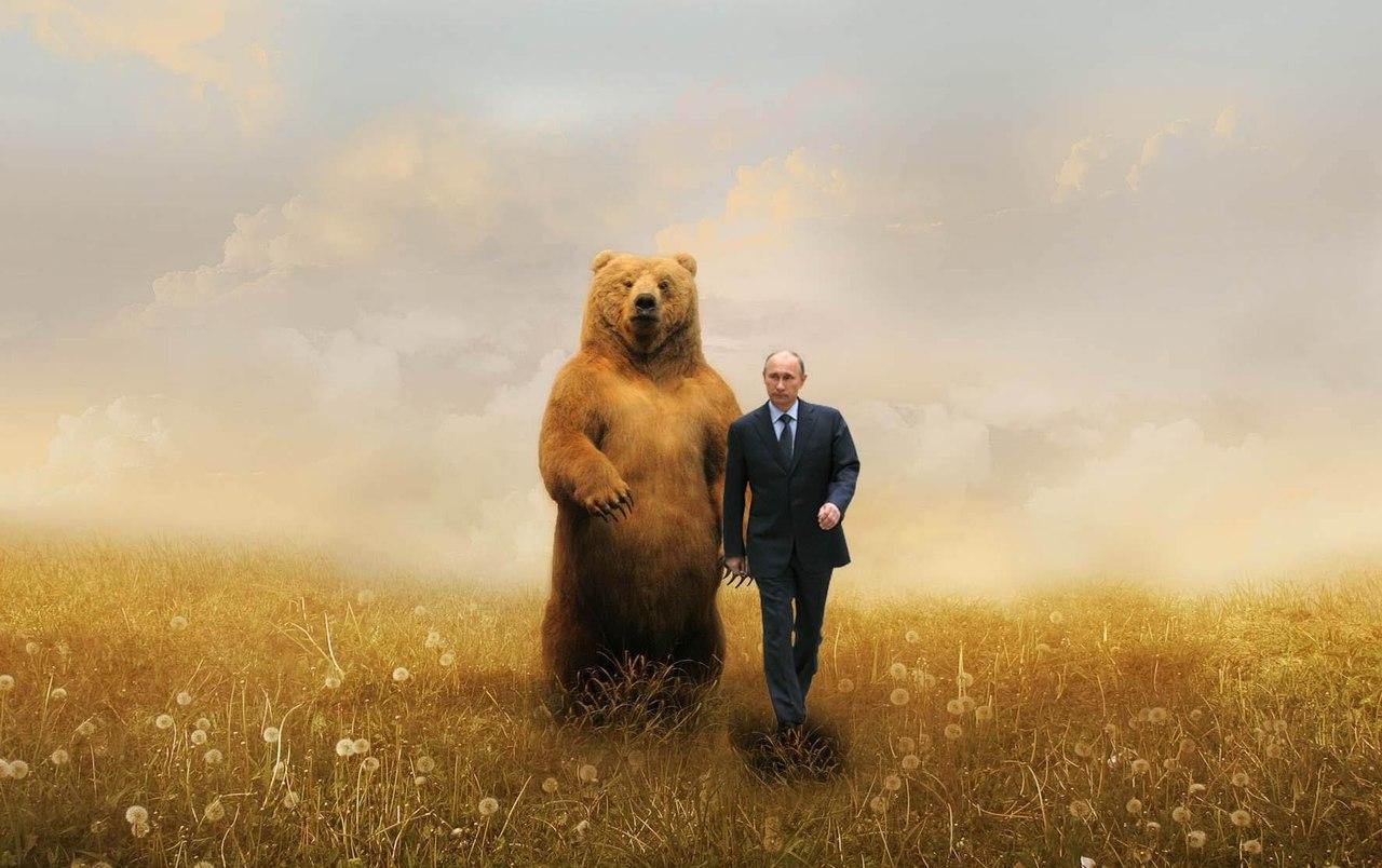 Putin och den amerikanska björnen.