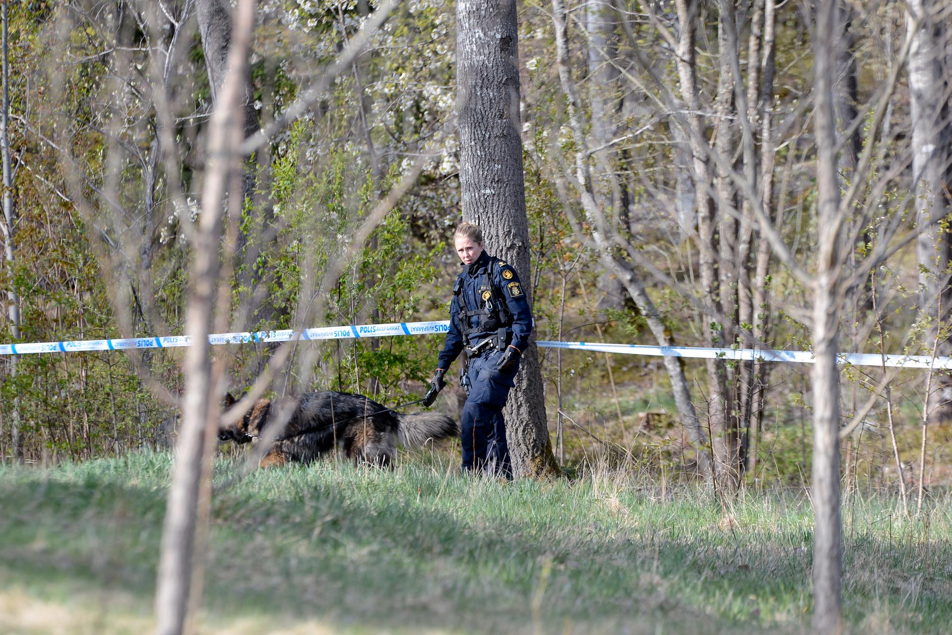 Strax före åtta på lördagsmorgonen larmades polisen till Märsta. I närheten av en skola hade en död kvinna hittats.
