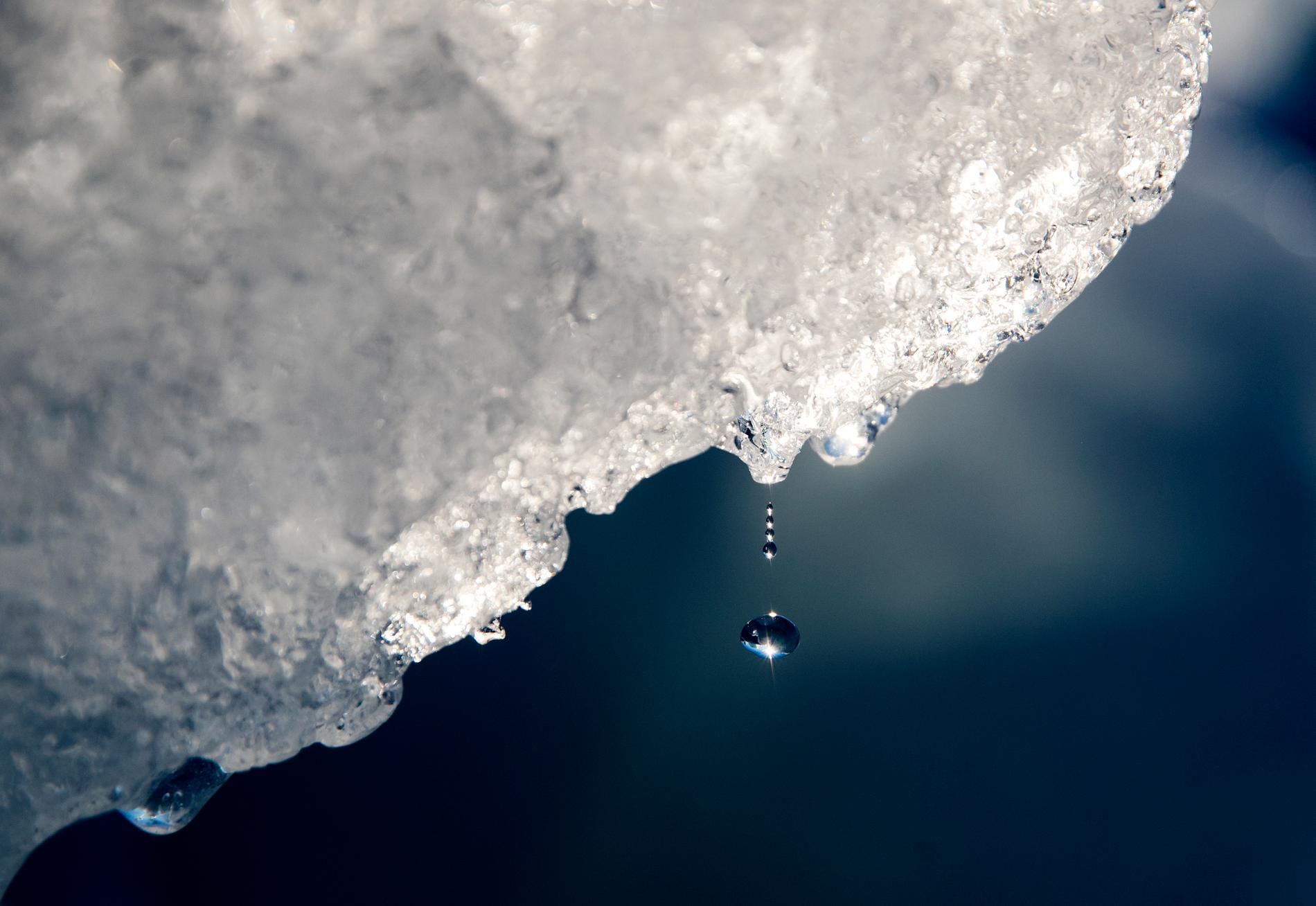 Den globala uppvärmningen går snabbt i Arktis – vilket påverkar nederbörden. Bilden är tagen i sydvästra Grönland och visar en droppe vatten som faller från ett isberg. Arkivbild.
