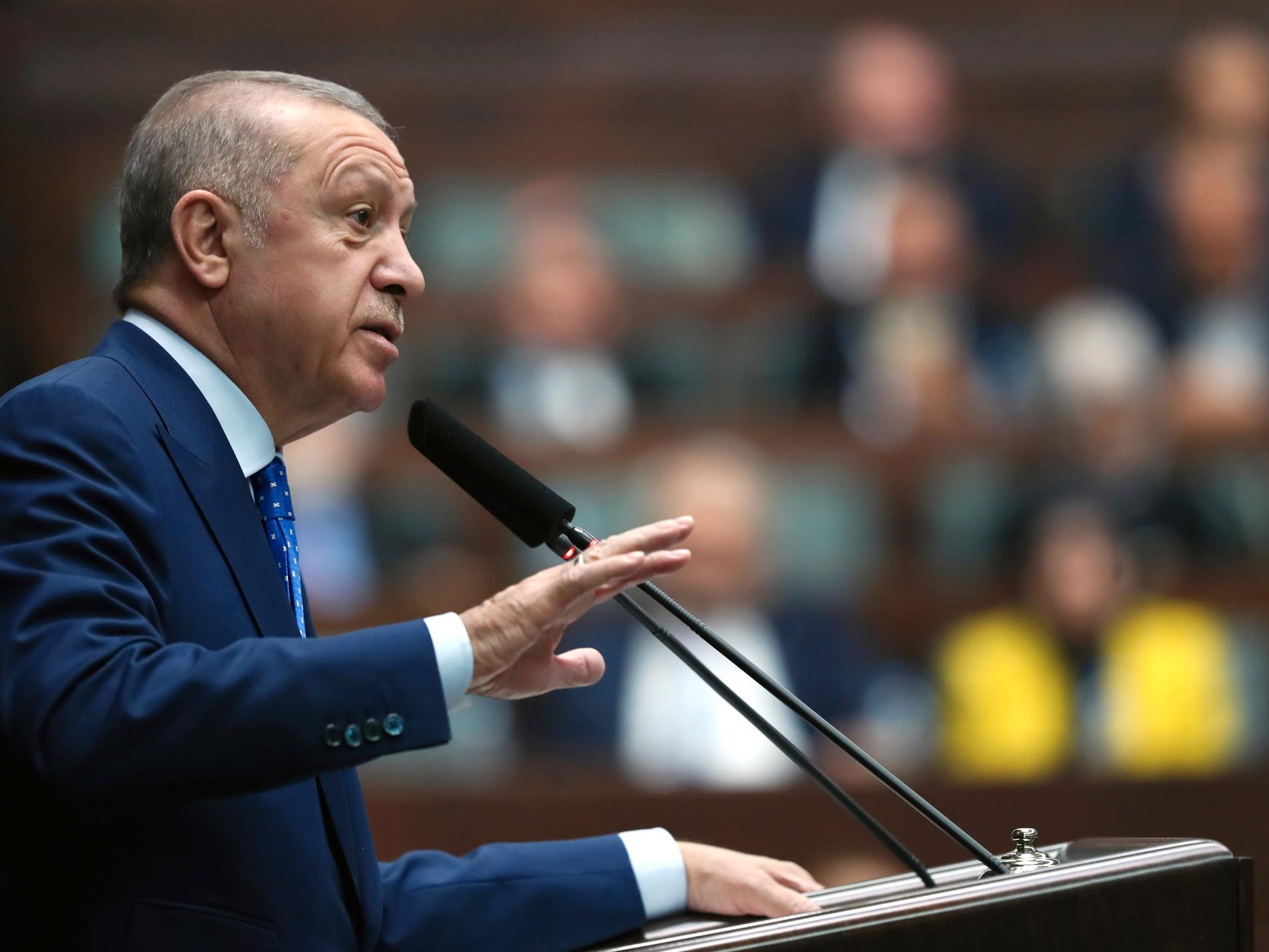 Oppositionen lovar riva upp Erdogans reformer