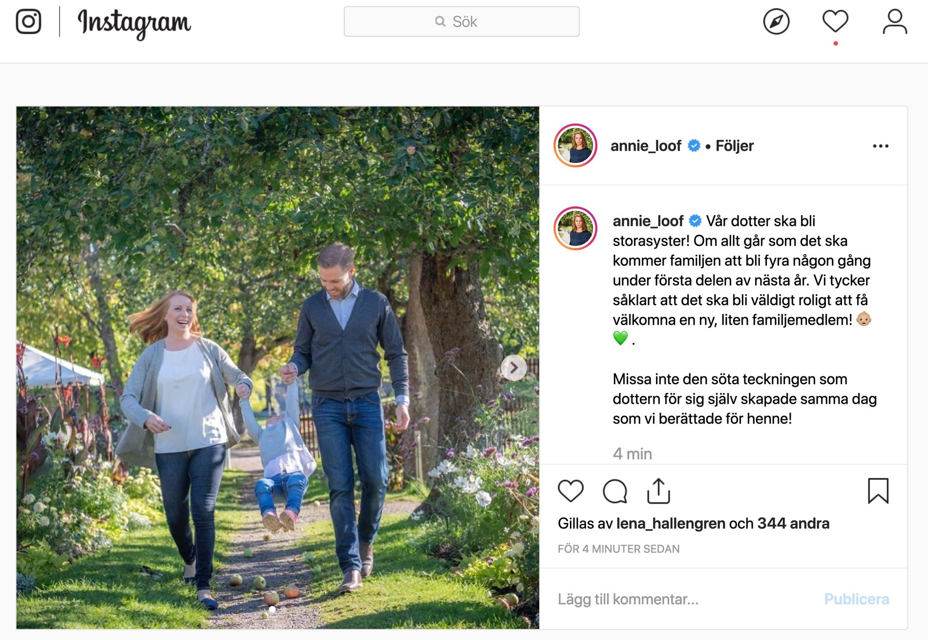 Annie Lööf avslöjade graviditeten på Instagram.
