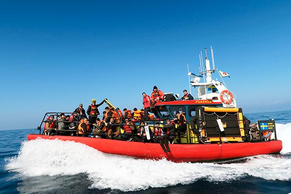 Sedan den 28 oktober förra året räddar Schibsteds två gula räddningsbåtar liv i Medelhavet. Båtarna bemannas av Sjöräddningssällskapets frivilliga sjöräddare.