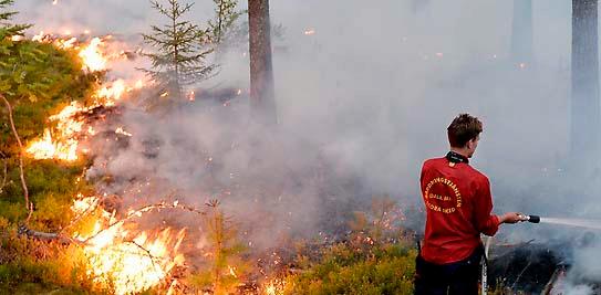 2014 stod stora delar av Västmanland i lågor. Här kamp mot elden runt Sala.