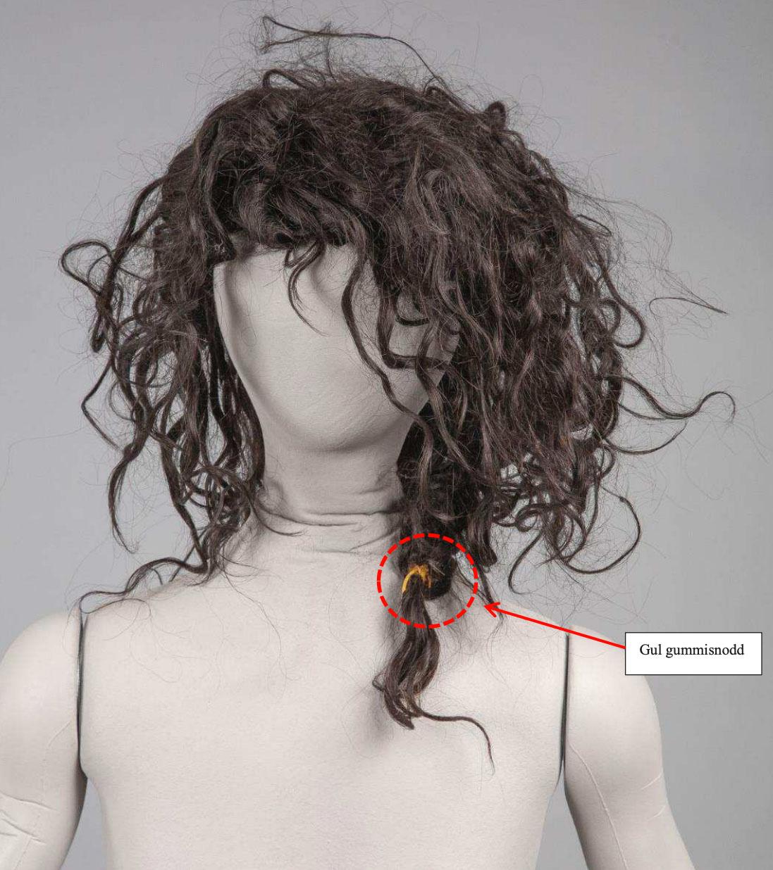 Bilder ur förundersökningsprotokollet på offrets peruk som hittades i den misstänktes pojkrum.