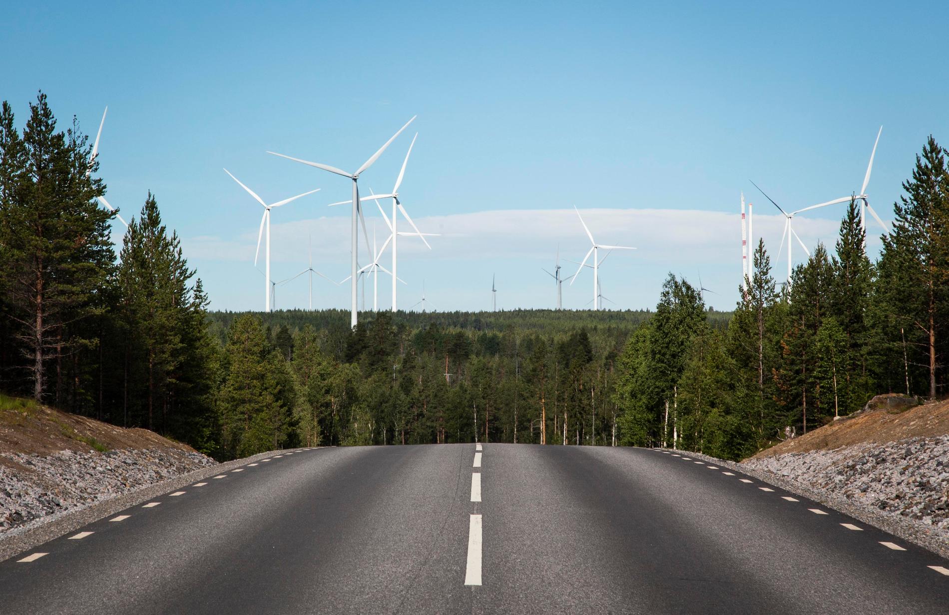 De flesta vindkraftsparker som fått klartecken ligger i norra Sverige, som här utanför Piteå.