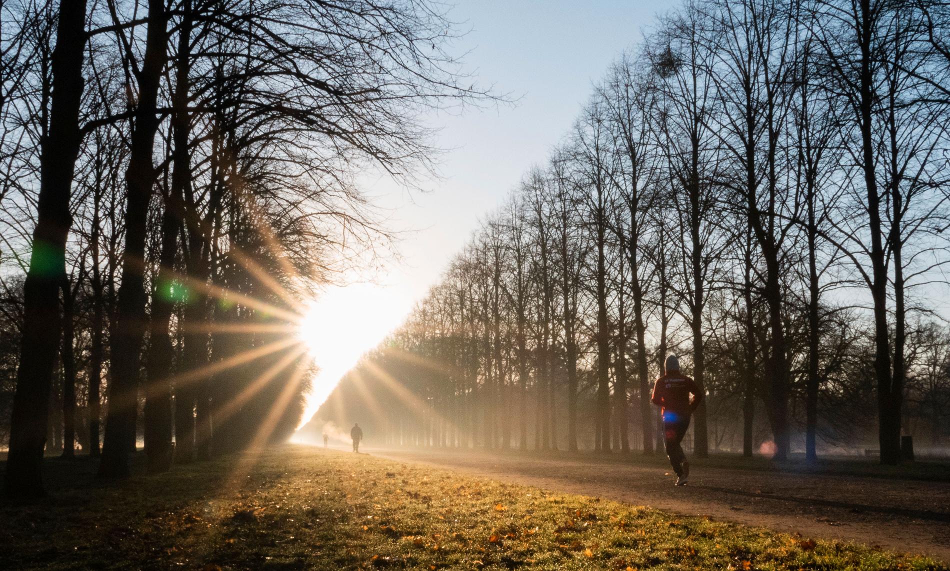 Årets januari var en ovanligt varm månad i Europa. Här joggare i Hannover i Tyskland i mitten av januari, där man hade temperaturer på runt 10 grader. Arkivbild.