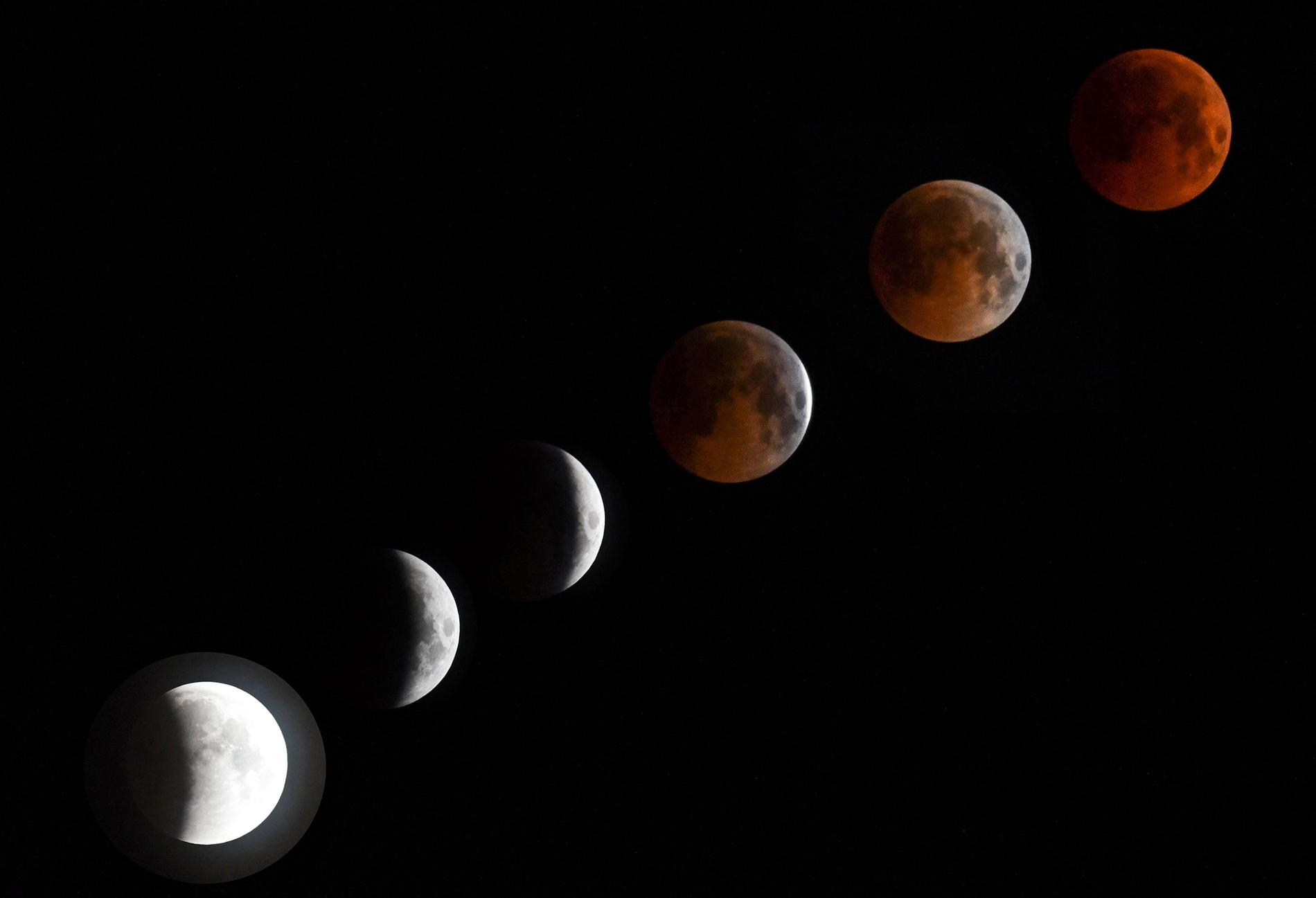 En kombination av sex foton visar hela förloppet av månförmörkelsen.