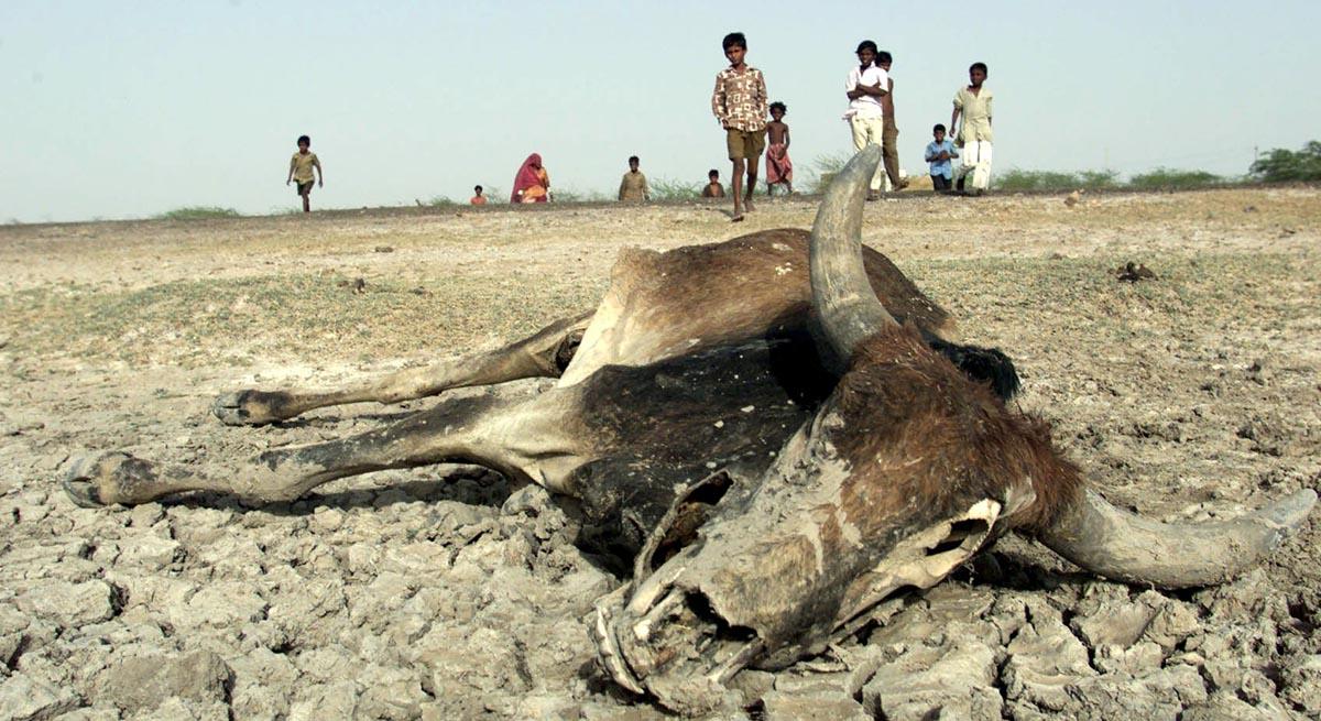 År 2000 drabbades västra Indien av den svåraste torkan på många decennier. I Kim Stanley Robinsons roman ”The ministry for the future” drabbas delstaten Uttar Pradesh år 2025 av något mycket värre.