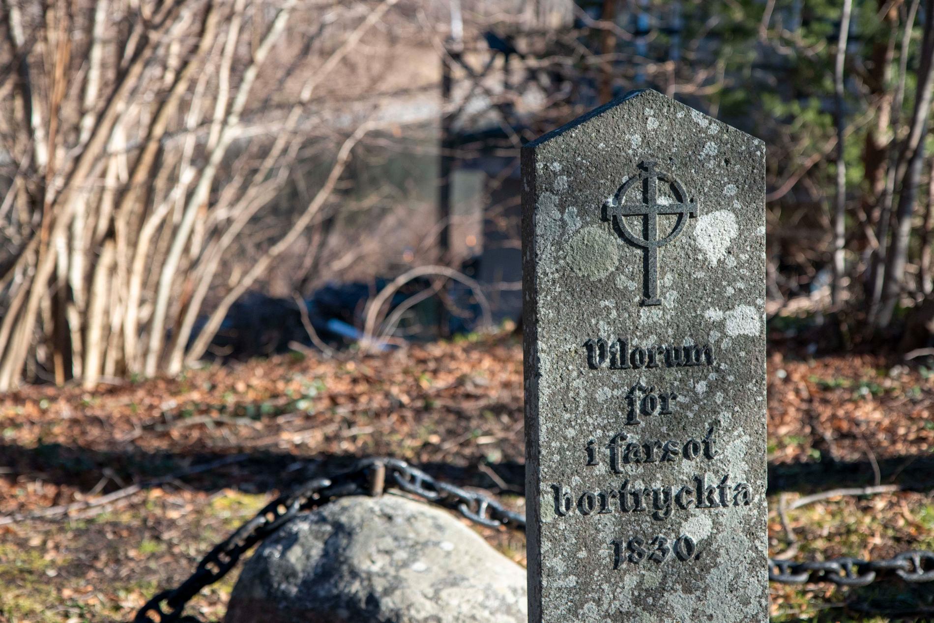 Kolerakyrkogården på Dalarö ligger i backen ner mot Askfatshamnen