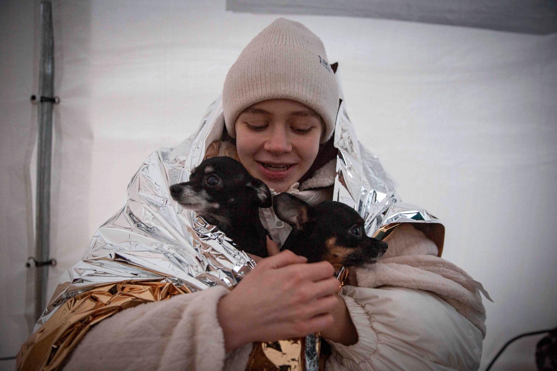 Katya och hennes två hundar flyr från kriget. På onsdagen hade de tagit sig till gränsövergången i Medyka, Polen. Enligt FN har omkring två miljoner människor tvingats på flykt från Ukraina sedan den ryska invasionen drog igång.