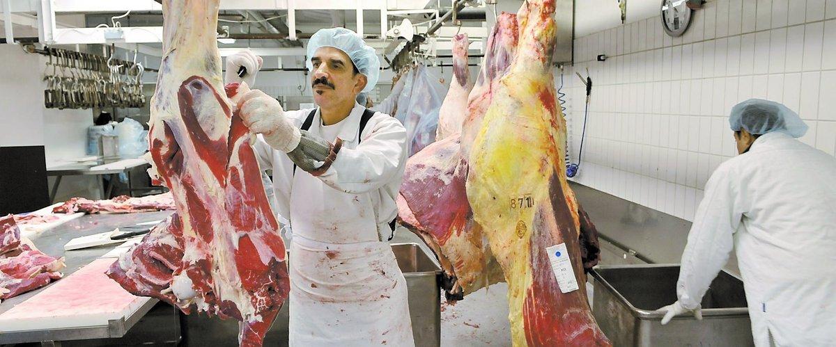 halalslakt Fadel Azawi styckar nötkött på Qibbla Halal Kött i Johanneshov. De bedriver handel med Halal-produkter som är framställda i enlighet med muslimsk tradition.