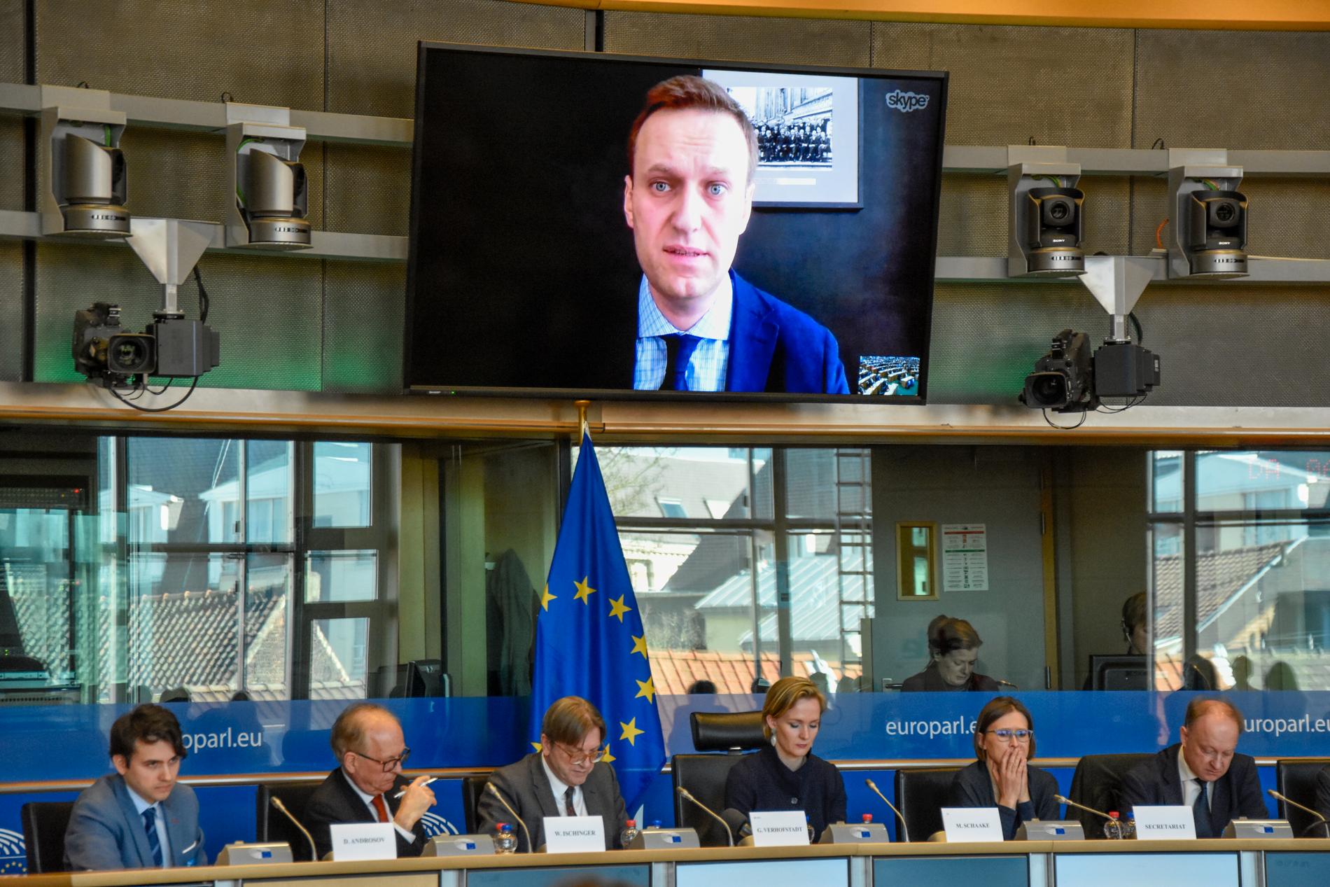 Ryske oppositionspolitikern Aleksej Navalnyj i ett framträdande via videolänk i EU-parlamentet 2018. Arkivbild.