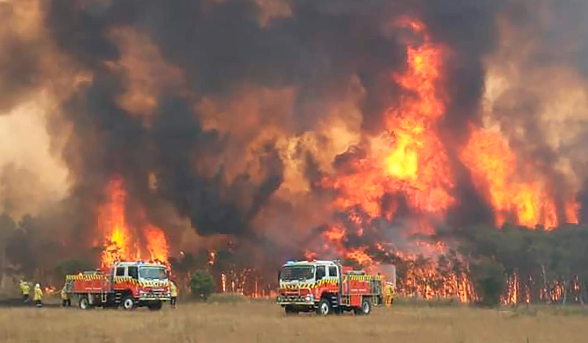Brandmän försöker bekämpa en brand i Charmhaven, Australien.