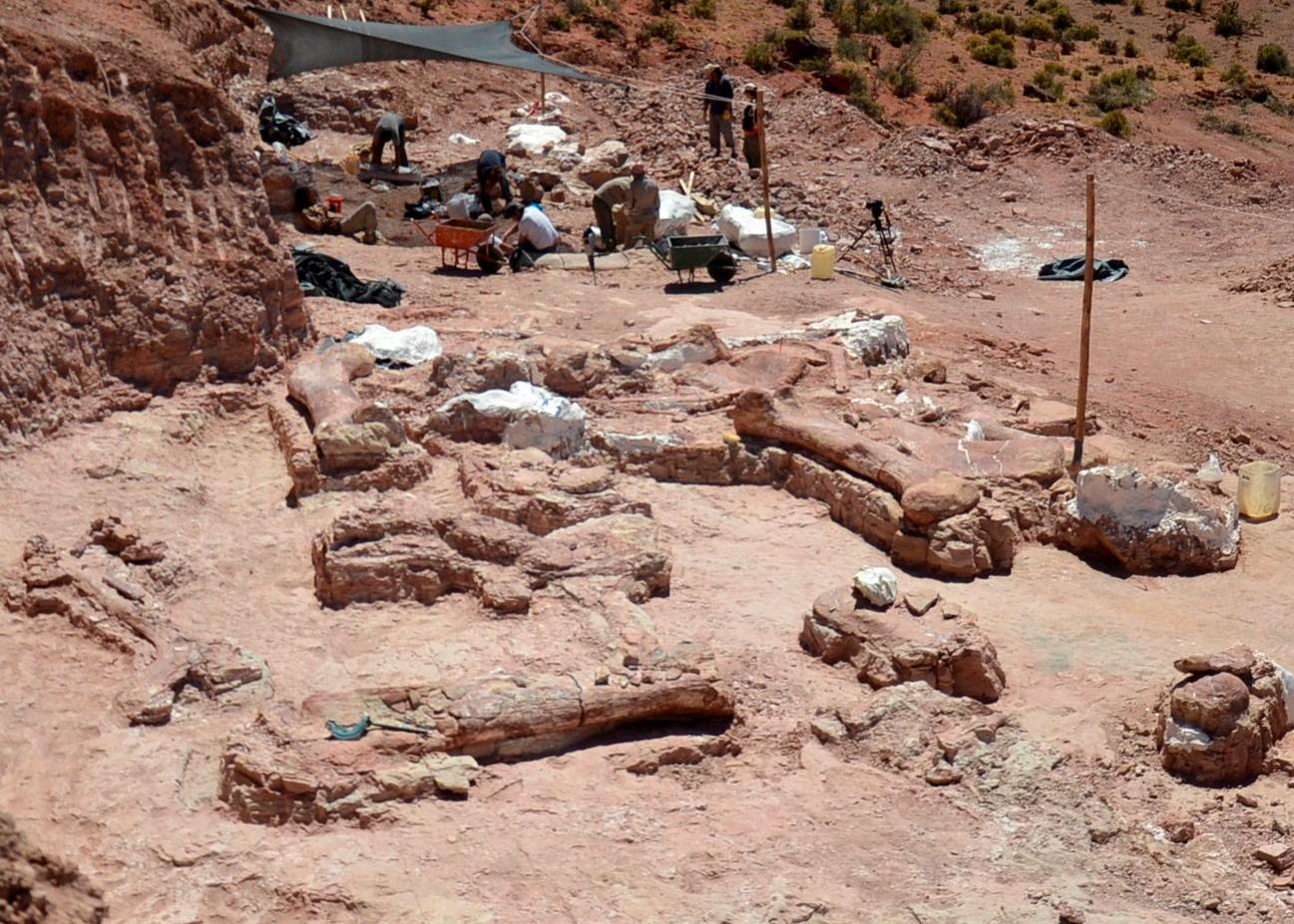 Här är flera delar från utgrävningen i Argentina.